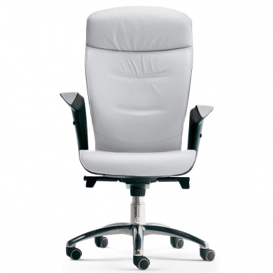 Кресло Brief President armchair
