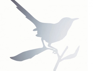 Настенное зеркало Taylor Bird, Driade