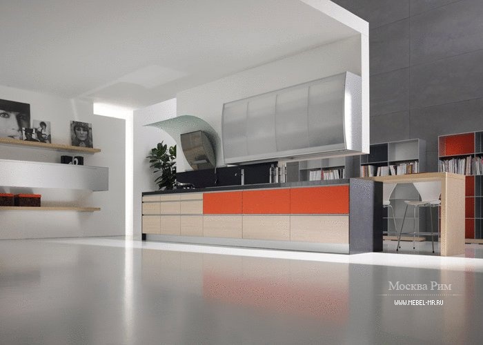 Кухня (гарнитур для кухни) Valcucine