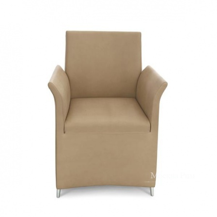 Кресло с каркасом из стали, наполнителем из пенополиуретана и обивкой из натуральной или искусственной кожи Dhalia, Alivar