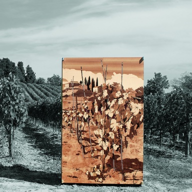 Винный шкаф Colonna Vino