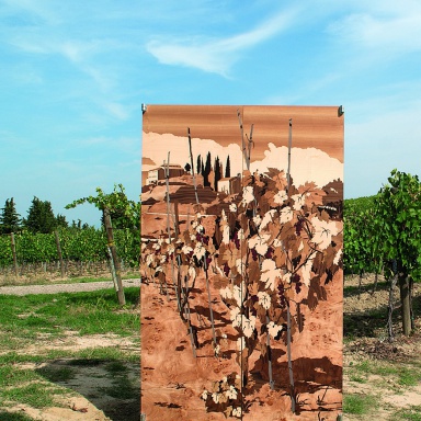 Винный шкаф Colonna Vino
