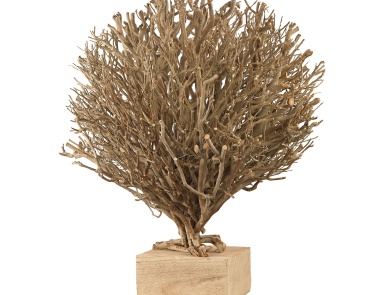 Аксессуар Whitebriar Wood Sculpture Dimond Home