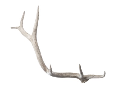 Аксессуар Weathered Resin Elk Antler Dimond Home