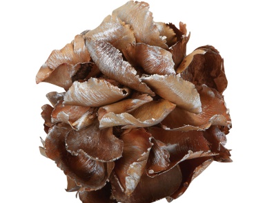 Аксессуар Silver Gilt Palm Petal Ball - Sm Dimond Home