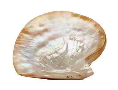 Аксессуар Pearl Shell Plate Dimond Home