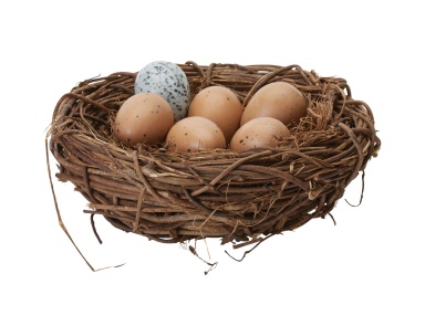 Аксессуар Moor Hen Eggs In Nest Dimond Home
