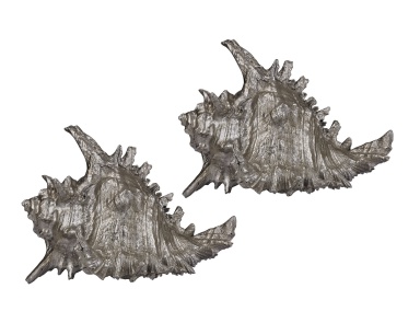 Аксессуар Set Of 2 Silver Leaf Whelk Shells Dimond Home