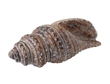Аксессуар Wooden Conch Shell Dimond Home