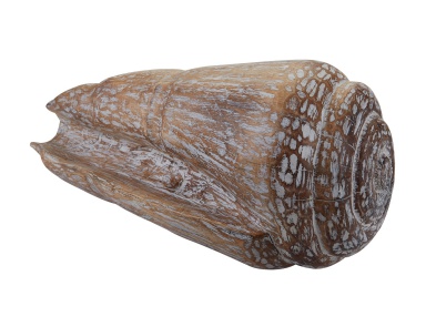 Аксессуар Wooden Cone Shell Dimond Home