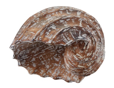 Аксессуар Wooden Helix Shell Dimond Home