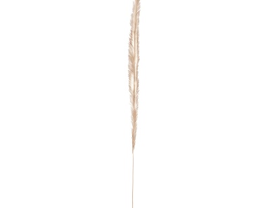 Аксессуар Natural Woven Palm Leaf Dimond Home