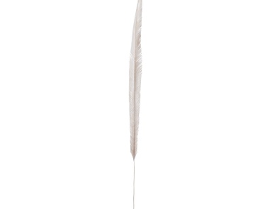Аксессуар White Woven Palm Leaf Dimond Home