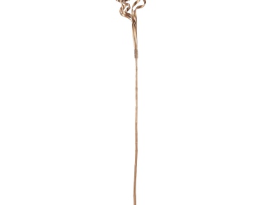 Аксессуар Natural Coconut Stem Dimond Home