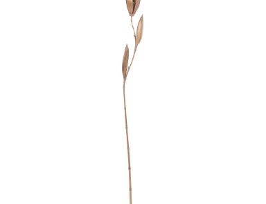 Аксессуар Natural Palm Seed Pole Dimond Home