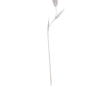 Аксессуар Whitewashed Palm Seed Pole Dimond Home