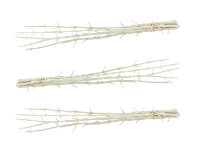 Аксессуар White Mulberry Stick Bunch - Set Of 3 Dimond Home