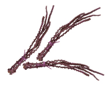 Аксессуар Oxblood Banana Stem Bunch - Set Of 3 Dimond Home