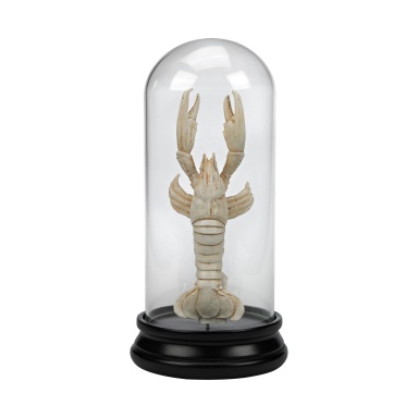 Аксессуар Naturae Ancient Lobster Curio