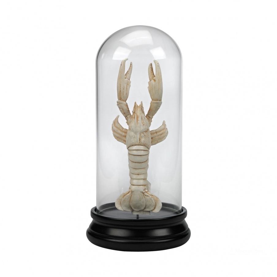 Аксессуар Naturae Ancient Lobster Curio Guild Master