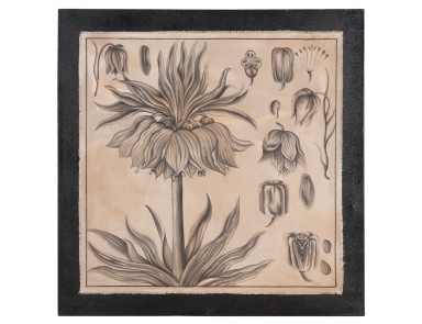 Картина Tulip Botanical Guild Master
