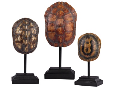 Аксессуар Set of 3 Turtle Shells on Stands Sterling