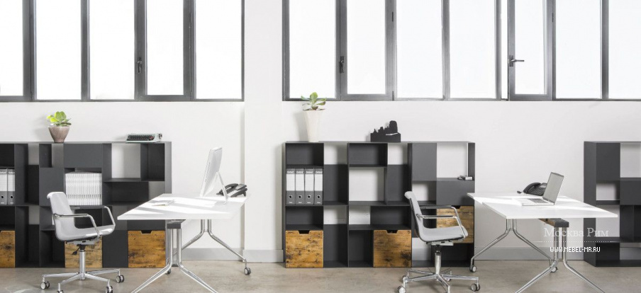 Модуль библиотечный Alvis, Babini Office